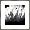 Light And Shadow    #1 Framed Print