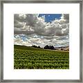 Livermore Vineyard #1 Framed Print
