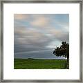 Lonely Olive Tree With Moving Clouds #1 Framed Print