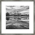 Long Pine Bw Framed Print