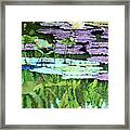 Lotus Reflections #1 Framed Print