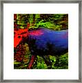 Magical Moose #1 Framed Print