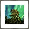 Majestic Tree Under The Northern Lights Karasjok Norway #1 Framed Print