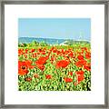 Meadow With Red Poppies #10 Framed Print