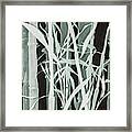 Midnight Bamboo Framed Print