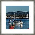 Monterey Day Framed Print