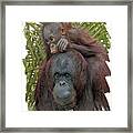 Mother And Child #1 Framed Print