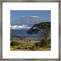 Mount Kilimanjaro Framed Print