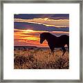 Wild Horse Sunset Framed Print