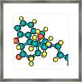 Naloxone, Molecular Model #1 Framed Print