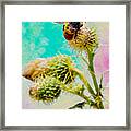 Collection Without Distructions Framed Print