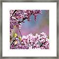 Pastel Blossoms #1 Framed Print