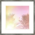 Pink Palms 2 Framed Print