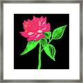 Pink Rose, Watercolor #1 Framed Print