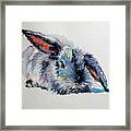 Rabbit #5 Framed Print