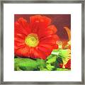 Red Flower #1 Framed Print