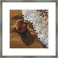 Red Rock And Surf #1 Framed Print