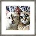 Rescued And Spoiled #1 Framed Print