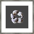 Ring Of Fossils #2 Framed Print
