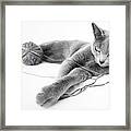 Russian Blue #12 Framed Print