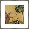Saint Francis Of Assisi Preaching To The Birds Framed Print