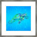 Sea Turtle Graphic #2 Framed Print