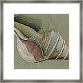 Seashell Art Painting #1 Framed Print