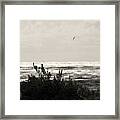 Seaside  #1 Framed Print