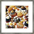 Shell Background #1 Framed Print