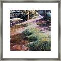 Shupp's Grove #1 Framed Print