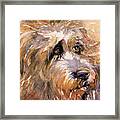 Sir Darby #1 Framed Print