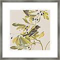 Small Green Crested Flycatcher Framed Print