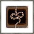 Snake Framed Print