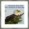 Sorry For Your Loss Framed Print