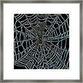 Haunted Spider In The Web Framed Print