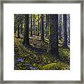 Spring Forest #1 Framed Print