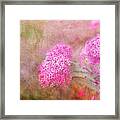 Springtime #1 Framed Print