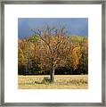 Standing Out #1 Framed Print