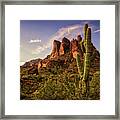Standing The Test Of Time  #1 Framed Print