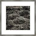 Storm Clouds Over The Sonoran Desert In Spring #1 Framed Print