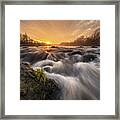 Survivor #1 Framed Print