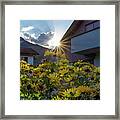 Swiss Sun Beam  #1 Framed Print