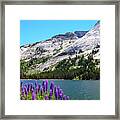Tanaya Lake Wildflowers Yosemite #1 Framed Print