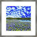 Texas Hill Country Framed Print