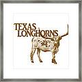 Texas Longhorns Framed Print