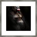 The Gorilla #1 Framed Print