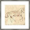 The Horse's Canter Revealed #1 Framed Print