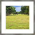 The Meadow Framed Print