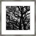 The Twist #1 Framed Print