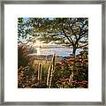 The View #1 Framed Print